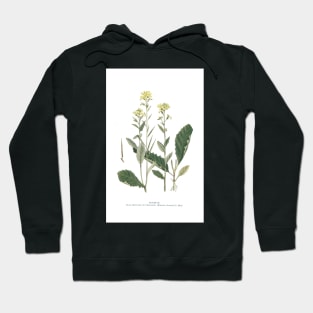 Wild Mustard Hoodie